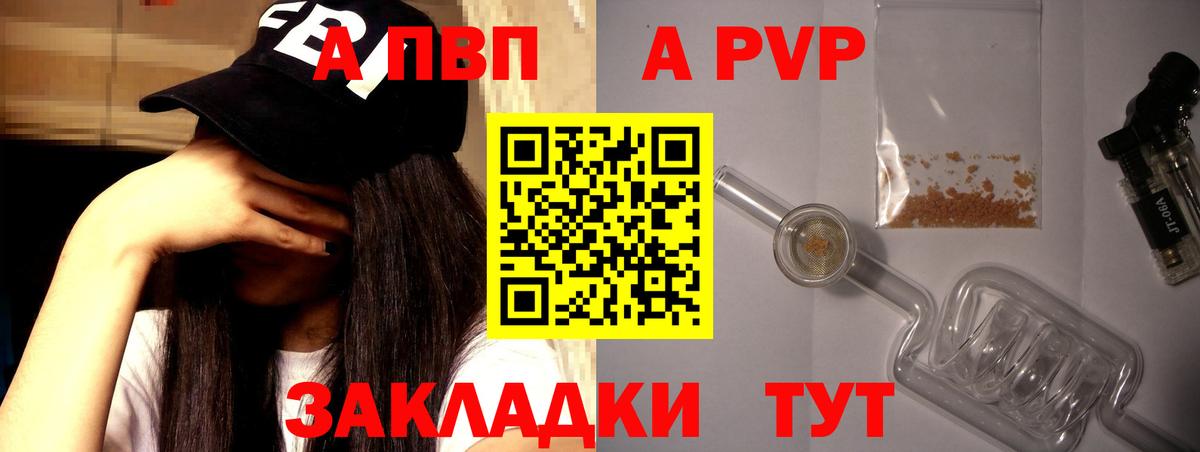 Альфа ПВП СК КРИС Великий Новгород