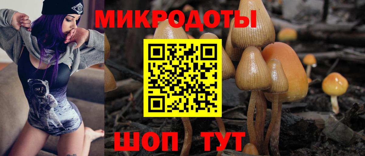Галлюциногенные грибы Cubensis  наркошоп  Великий Новгород  Вход с VPN 
